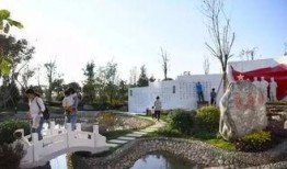 周口森林公园爆料视频最新,探秘神秘自然奇观，揭秘生态旅游新热点！