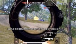 吃鸡最新版本大爆料,全新内容与玩法震撼来袭！